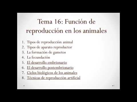 Thumbnail for Función de reproducción en animales I (1º Bach) by Manuel Greciano