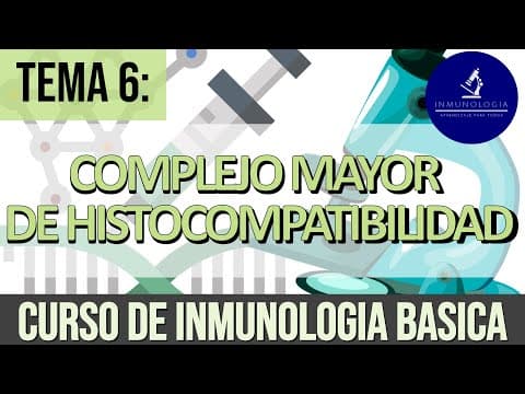 Thumbnail for Complejo Mayor de Histocompatibilidad | MHC-HLA by InmunoAprende