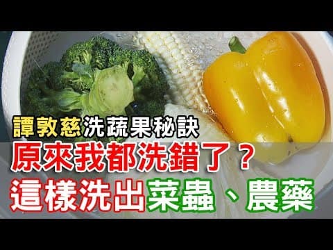 Thumbnail for 【挖健康】原來我都洗錯了!「譚敦慈洗蔬果秘訣」這樣洗出菜蟲農藥 by 健康2.0
