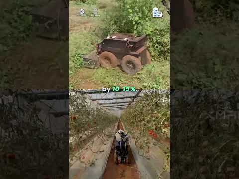 Thumbnail for AI Robots Cut Chemicals & Labour on Farms by The Better India