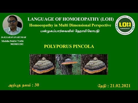 Thumbnail for POLYPORUS PINCOLA # அற்புதநலம் 30 # Dr.R.Saravanakumar - BHMS Madurai by LANGUAGE OF HOMOEOPATHY