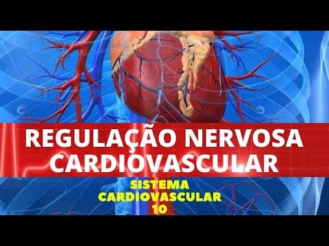 Thumbnail for REGULAÇÃO NERVOSA CARDIOVASCULAR - SISTEMA CARDIOVASCULAR 10 by Facilitando a Medicina