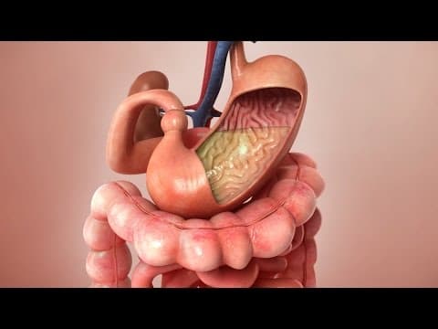 Thumbnail for Aspirin Journey through the body - 3D Animation by 3D Steve