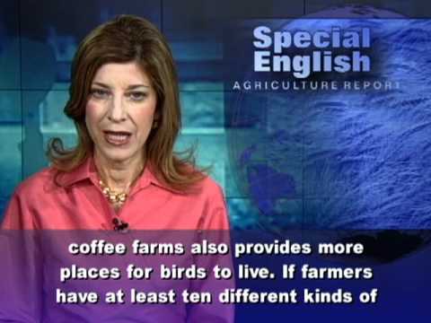 Thumbnail for Teaching Coffee Farmers About the Birds and the Bees by VOA Learning English