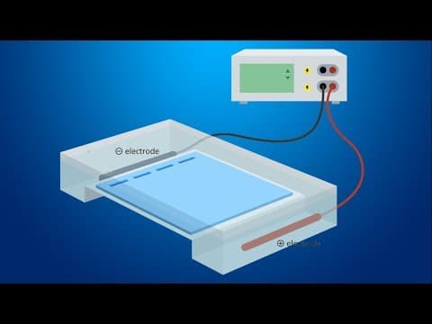 Thumbnail for Electroforesis de ADN: Conceptos Básicos by Brandon Ortiz Casas