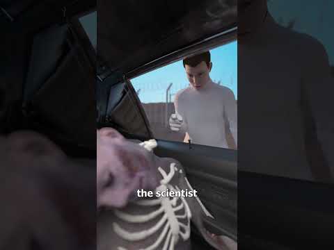 Thumbnail for How Scientists Test Car Safety With Corpses 😨 by Zack D. Films