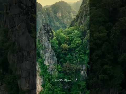 Thumbnail for Unreachable Mountain, Untouched Jungle”#youtubeshorts #facts #viralshorts by The World Facts