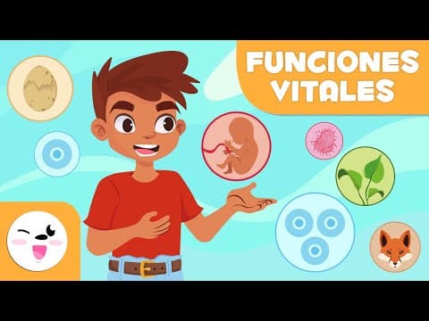Thumbnail for Las FUNCIONES VITALES de los SERES VIVOS - Relación, nutrición y reproducción - Ciencias para niños by Smile and Learn - Español