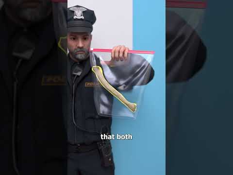 Thumbnail for How A Dog Helped Uncover A Missing Manโs Remains ๐ฎ by Zack D. Films