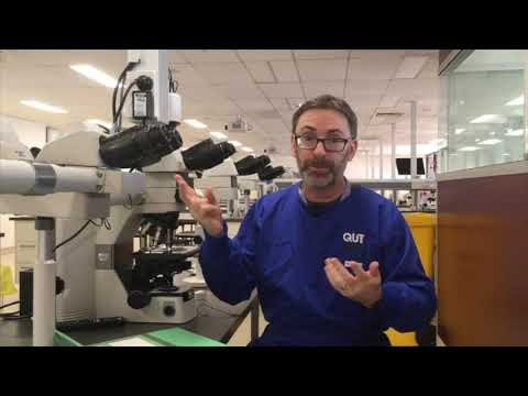 Thumbnail for Microscope tutorial - Troubleshooting Masson's Trichrome stain by Damien Harkin