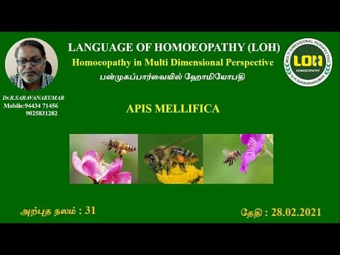 Thumbnail for APIS MELLIFICA # அற்புதநலம் 31 # Dr.R.Saravanakumar BHMS-Madurai by LANGUAGE OF HOMOEOPATHY