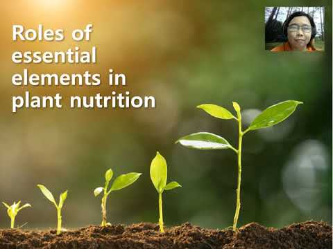 Thumbnail for Soil Plant Relationships Lecture Part 1 by Lovely Luar