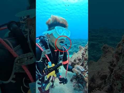 Thumbnail for #beat by Facts Flaze