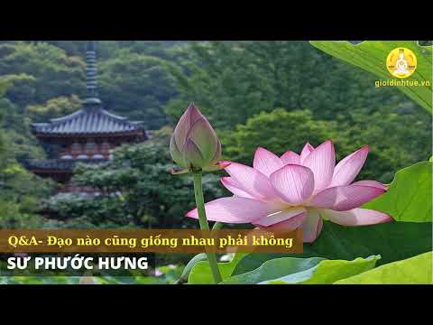Thumbnail for Q&A - Đạo nào cũng giống nhau phải không by Sư Phước Hưng suphuochung gmail com