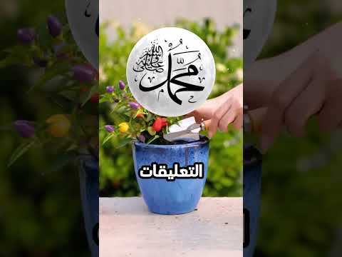 Thumbnail for و الحاج من ساعتها معدش قادر يتكلم😂 by الڤيجو | ELV3GO