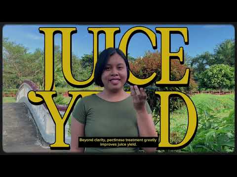 Thumbnail for Enzymes in Fruit Juice Processing– Pectinase for Juice Clarification by MA. THERESA CARBON