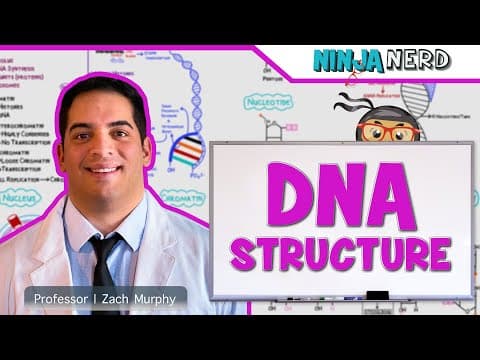 Thumbnail for Cell Biology | DNA Structure & Organization 🧬 by Ninja Nerd