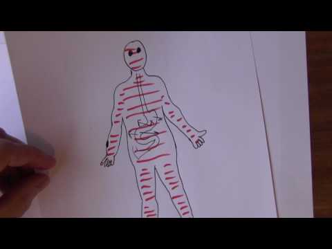 Thumbnail for Applied Pharmacology 1, Systemic Drug Administration by Dr. John Campbell