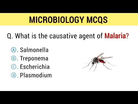 Thumbnail for Microbiology Mcqs | microbiology mcq questions answers by Study With Anam