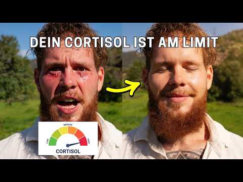 Thumbnail for Never Stress: Was dich nicht umbringt macht dich kränker... by Fabian Kowallik
