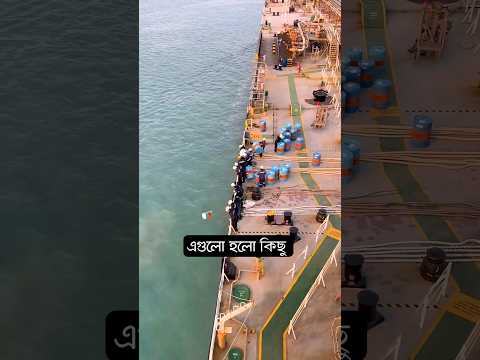 Thumbnail for অদ্ভুত তেলের ড্রামের বিজনেস #মায়াজাল #mayajaal #shorts by মায়াজাল