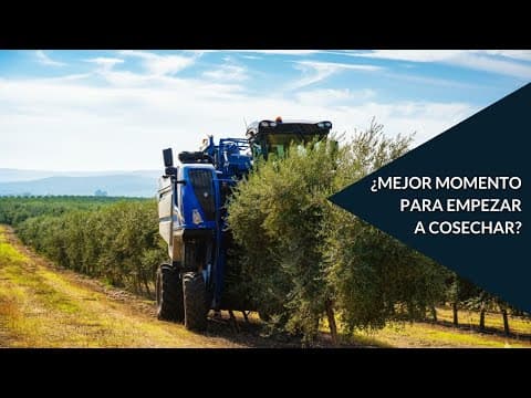 Thumbnail for 🌿 La eterna duda en el #olivar: ¿cuál es el momento óptimo para cosechar? by BALAM Agriculture