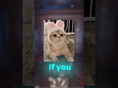 Thumbnail for Watch This If You Have 0 Robux.. 😭 #roblox #shorts by SIPTOR EN