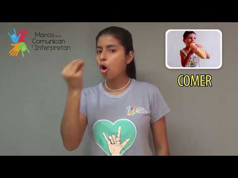 Thumbnail for "VERBOS" LENGUA DE SEÑAS PERUANA 1ER PARTE by Manos que Comunican en LSP