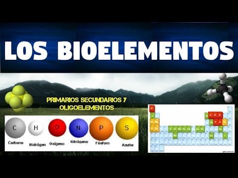 Thumbnail for TODO SOBRE LOS BIOELEMENTOS | CLASIFICACIÓN Y FUNCIONES | CARACTERISTICAS by Karu Clínico