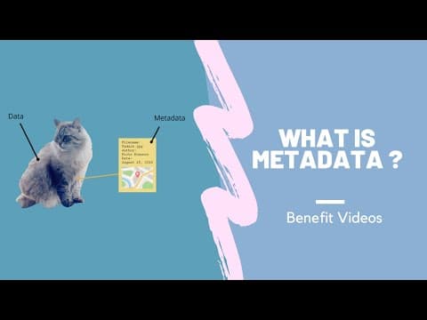 Thumbnail for What Is Metadata ? by Benefit Videos