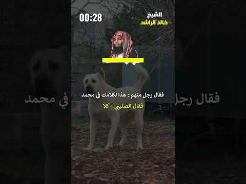 Thumbnail for كلب قتل رجل لأنه كان يسب النبيﷺ #الشيخ_خالد_الراشد #خالدالراشد by قناة الشيخ خالد الراشد