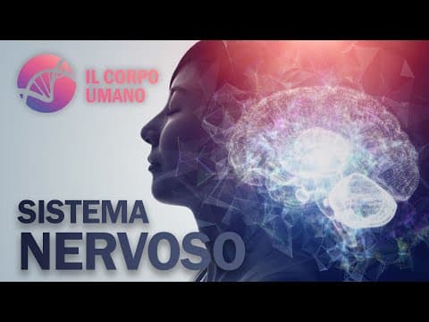 Thumbnail for Il Sistema Nervoso (Riassunto) | Il Corpo Umano by La Biologia per tutti