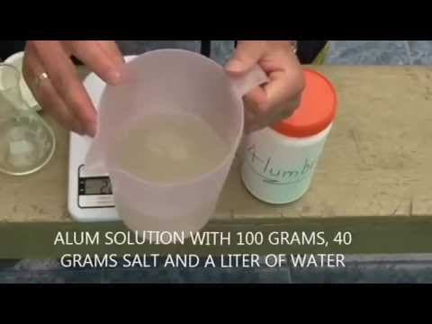 Thumbnail for curtido piel de conejo (tanning process rabbit) by Preppers Survival Colombia