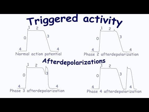 Thumbnail for Triggered activity. Afterdepolarizations by Oleksii Skakun