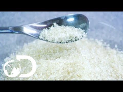 Thumbnail for SUGAR | How It's Made by Discovery UK
