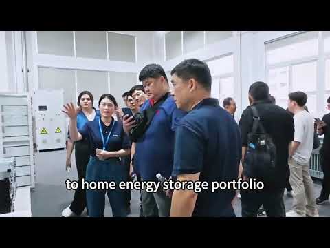 Thumbnail for Warm Welcome to Distinguished Indonesian Business Guests by LanpNewEnergy
