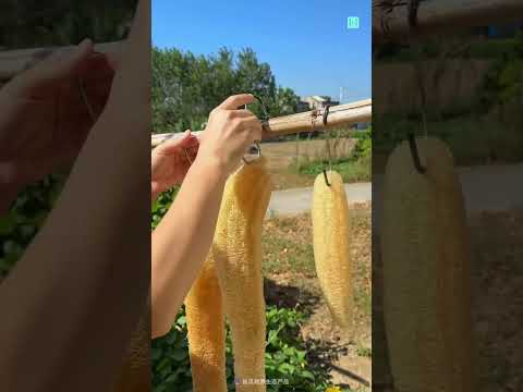 Thumbnail for Turning Loofah Into Art 🎨 by Facts Dastan