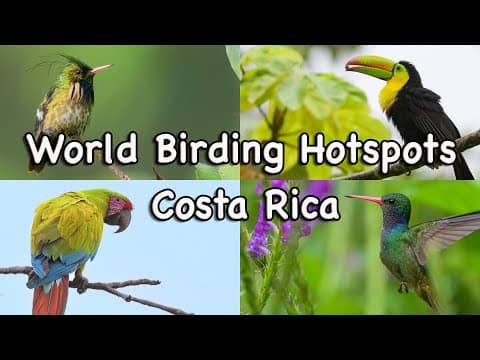 Thumbnail for World Birding Hotspots - Costa Rica by Roger’s Birding Hotspots