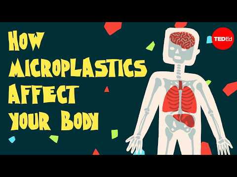 Thumbnail for 3 surprising ways microplastics can enter your body by TED-Ed