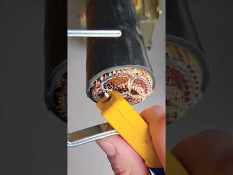 Thumbnail for एक संत नदी किनारे नहा रहे थे तभी उन्होंने देखा एक बिच्छू डूब रहा है #youtubeshorts #story by story india 1