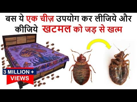 Thumbnail for एक ही बार में जड़ से ख़त्म करे खटमल को इस अचूक उपाय से How To Get Rid of Bed Bugs -bed bugs खटमल by CookwithParul