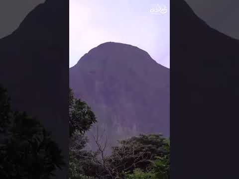 Thumbnail for ആരും കൊതിക്കുന്ന അഗസ്ത്യാർകൂടം യാത്ര 🤍 || Agasthyarkoodam trekking🤍 || #Agastyarkoodam #Hiking by Yathraa