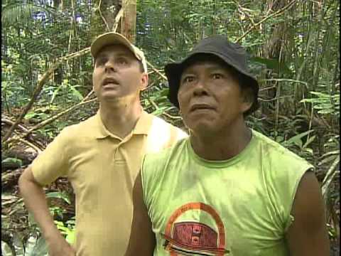 Thumbnail for Reportagem Sobre Cultura Indígena do Alto Rio Negro- São Gabriel da Cachoeira by Iauaretê Mahsã