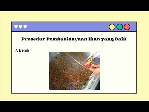 Thumbnail for Video Penyuluhan Cara Budidaya Ikan yang Baik dan Benar by Maulidina Choirunissa