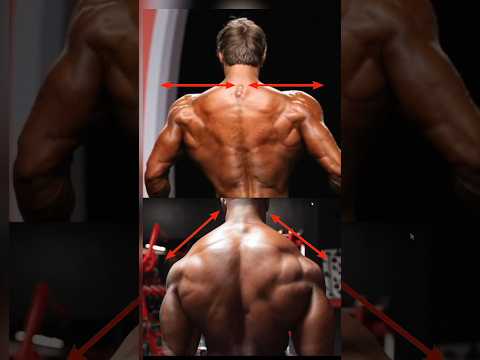 Thumbnail for STOP training Traps! by Dylan McKnight