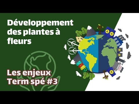 Thumbnail for Développement des plantes à fleurs- SVT - ENJEUX Term spé #3 - Mathrix by Mathrix