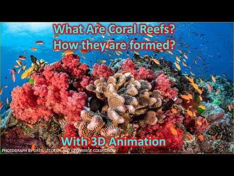 Thumbnail for Coral Reefs : What are corals and how they are formed? | UPSC (CSE) by Zeta Axis (UPSC-SSC)