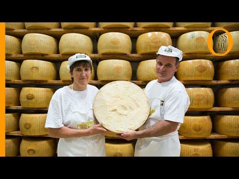 Thumbnail for Parmigiano Reggiano: how the King of Italian cheese is made by Kiss From The World