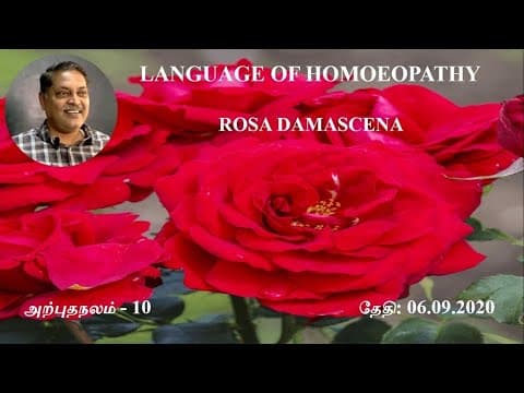 Thumbnail for LANGUAGE OF HOMOEOPATHY # அற்புதநலம்-10 # ROSA DAMASCENA Dr.R.Saravanakumar BHMS - Madurai by LANGUAGE OF HOMOEOPATHY