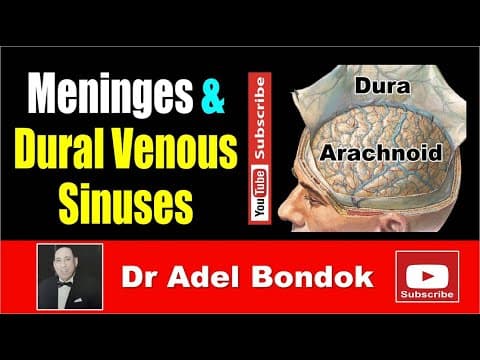 Thumbnail for Meninges and Dural Venous Sinuses, Dr Adel Bondok by Dr Adel Bondok Anatomy Channel